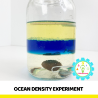 This ocean layer jar is a liquid density experiment that creates a model of the ocean layers!