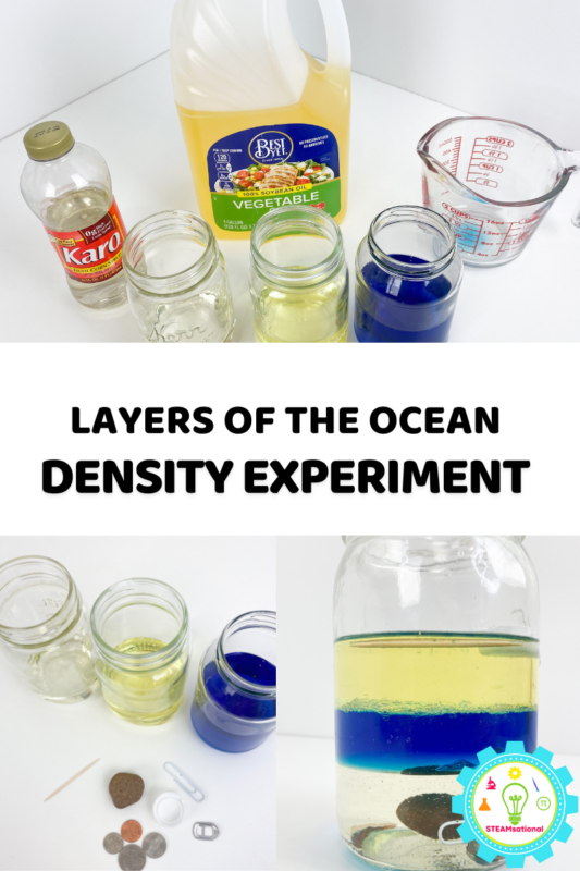 Learn about the layers of the ocean and learn about density at the same time!Here is how to set up and complete the ocean liquid density experiment.