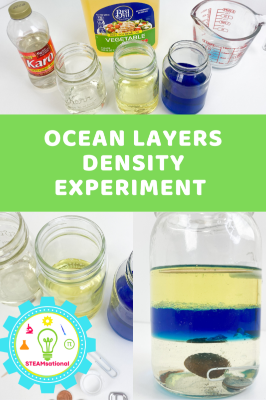 In addition to learning about the ocean layers, you can explore the density of different liquids in this liquid density experiment. 