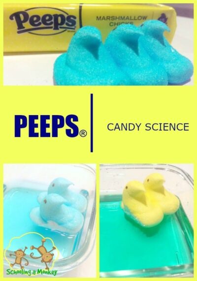3 PEEPS® Science Experiments to Use Up Leftover PEEPS