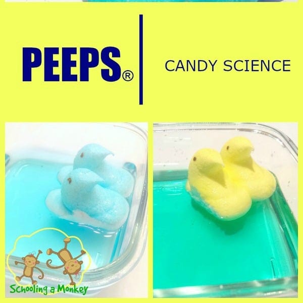 Marshmallow PEEPS® just scream spring. Make your activities more educational with these easy STEM activities featuring PEEPS® candy science!