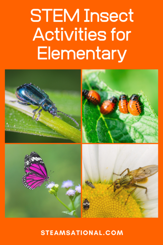 21 Creative Insect STEM Activities for Kids Featuring Bugs!
