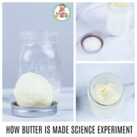 Want a quick and easy science experiment for kids? The making butter science experiment is fast and tons of fun! Learn how to make butter with kids and the science of butter. Use the included worksheet on making butter to round out your butter science experiment!