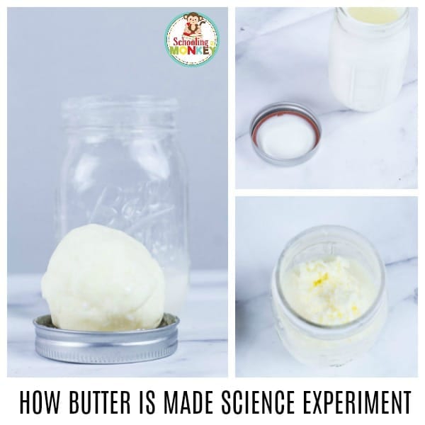 Want a quick and easy science experiment for kids? The making butter science experiment is fast and tons of fun! Learn how to make butter with kids and the science of butter. Use the included worksheet on making butter to round out your butter science experiment!