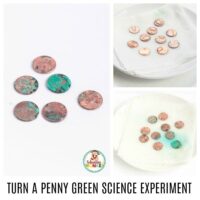 Want an easy and educational activity? Turning a penny green is a fun science experiment that kids of all ages enjoy! Turning pennies green is a classic science activity where kids learn how to oxidize a penny quickly.