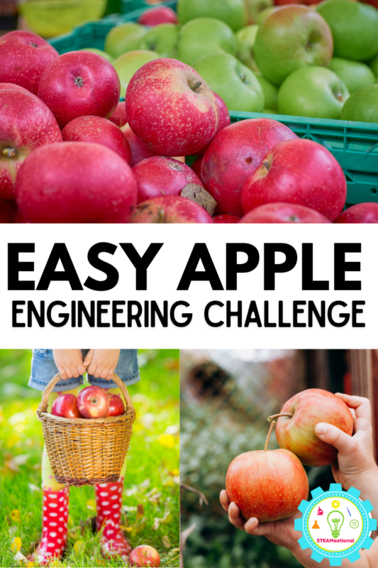 For this apple stacking game, I challenged my students to see if they could get the apples to stack. 