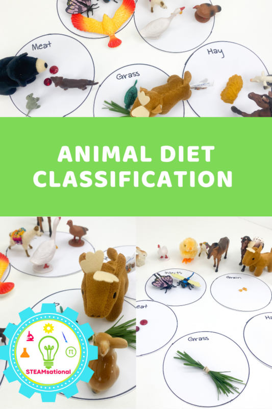 What do animals eat? This animal diet classification STEM challenge is the perfect introduction to animal diets and classification for preschool!