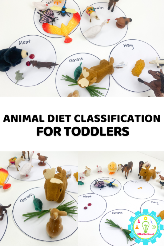 Preschoolers will have a blast with this animal diet classification STEM activity! It's a hands-on way to introduce the basics of STEM thinking to little ones. 