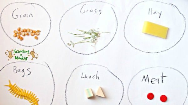In this no-prep totschooling activity, teach preschoolers the varying dietary needs of animals through classification using small toys.