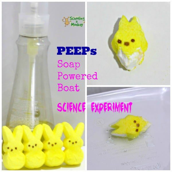 Love science? Love PEEPs? Then you will love this PEEPs science experiment where the challenge is to power a PEEP entirely with soap. Fun for all ages!