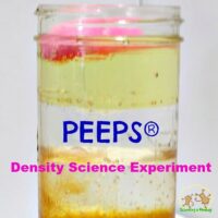 PEEPS are amazing and have so many uses beyond just being a sweet. Take your PEEPS into the classroom with this PEEPs density science experiment!