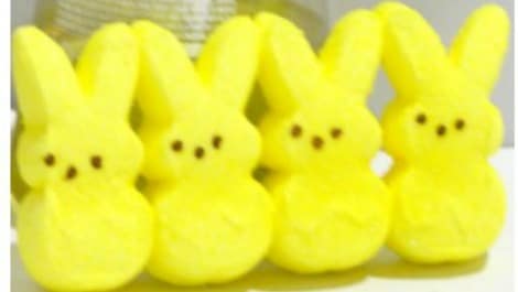 Love science? Love PEEPs? Then you will love this PEEPs science experiment where the challenge is to make a soap powered boat! Fun for all ages!