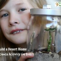 Learning about biomes? This fun science activity shows you how to build a desert biome in a jar! Perfect for classrooms or homeschool!