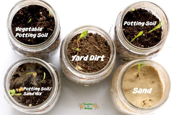 What soil is best for seeds? In this simple STEM activity for kids, learn how to identify the best type of soil in this seed sprouting science experiment.