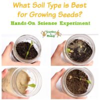 Our seed germination experiment gives kids the chance to see how a seed grows and what type of soil is best for growing seeds!