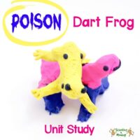 The poison dart frog is one of nature's deadliest creatures. Learn all about poison dart frogs with this poison dart frog unit study and poison frog craft!