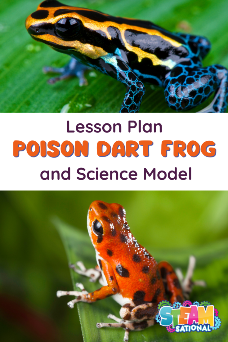 how to make a poison dart frog