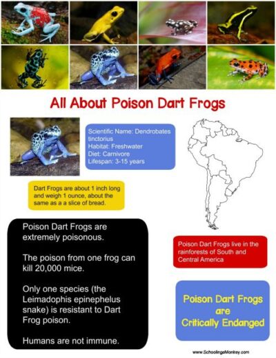 This poison dart frog fact sheet is the perfect way to launch an independent study or thematic unit on poisonous frogs. NO-PREP required!