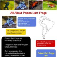 Poison Dart Frog Fact Sheet