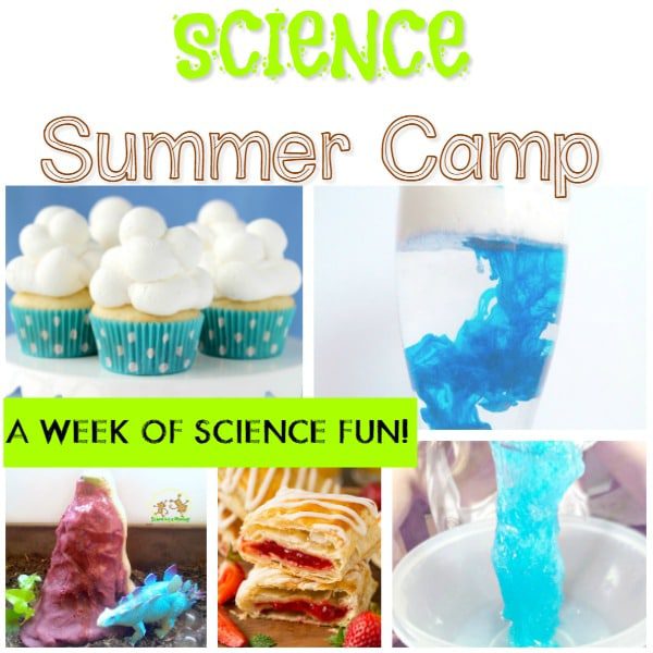 Love the idea of science summer camp but don't have the funds? You can create your own DIY science camp for your kids with these summer science camp ideas!