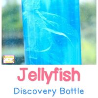 Make Your Own Jellyfish Discovery Bottle and you won't have to risk getting stung to enjoy the crazy-cool jellyfish. A perfect sensory activity for kids!