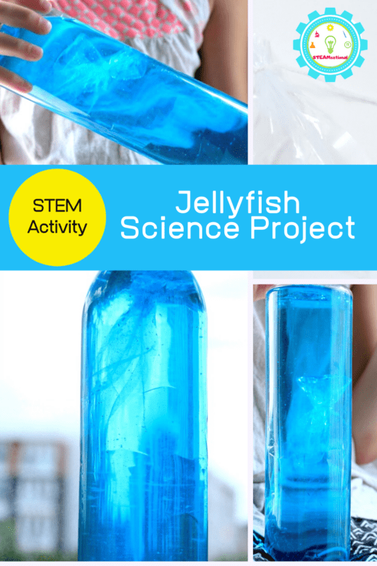 jellyfish science project