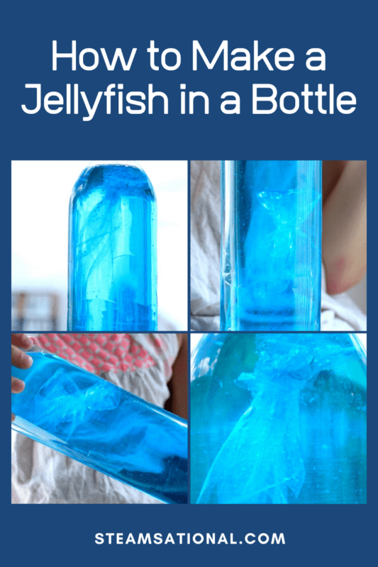 jellyfish sensory bottle