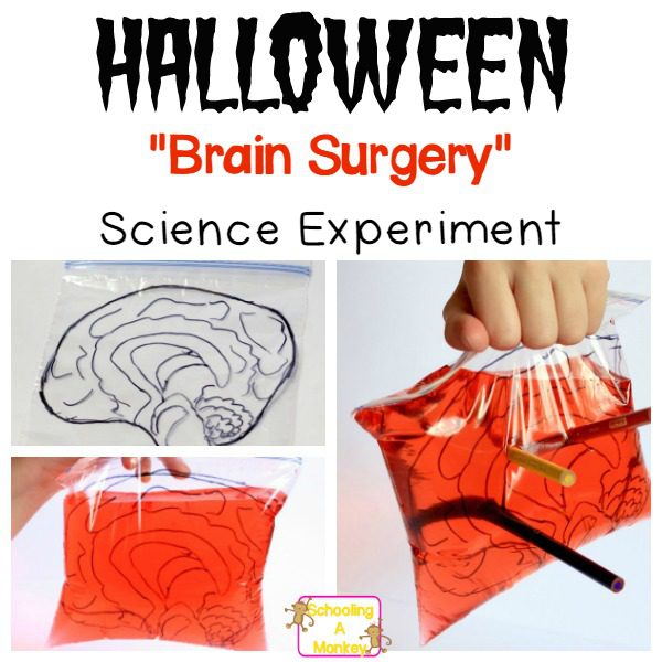 Halloween science activities are a fun way to introduce science. This "brain surgery" experiment is a twist on the leak proof bag science experiment. 