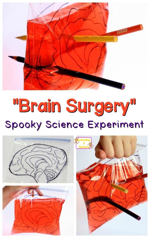 Halloween science activities are a fun way to introduce science. This "brain surgery" experiment is a twist on the leak proof bag science experiment. 
