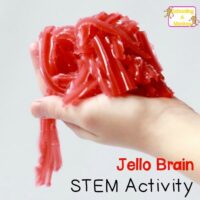 Gross out your kids, friends, and neighbors with this deliciously frightening jello brain recipe! No mold needed to make this jello brain STEM activity!