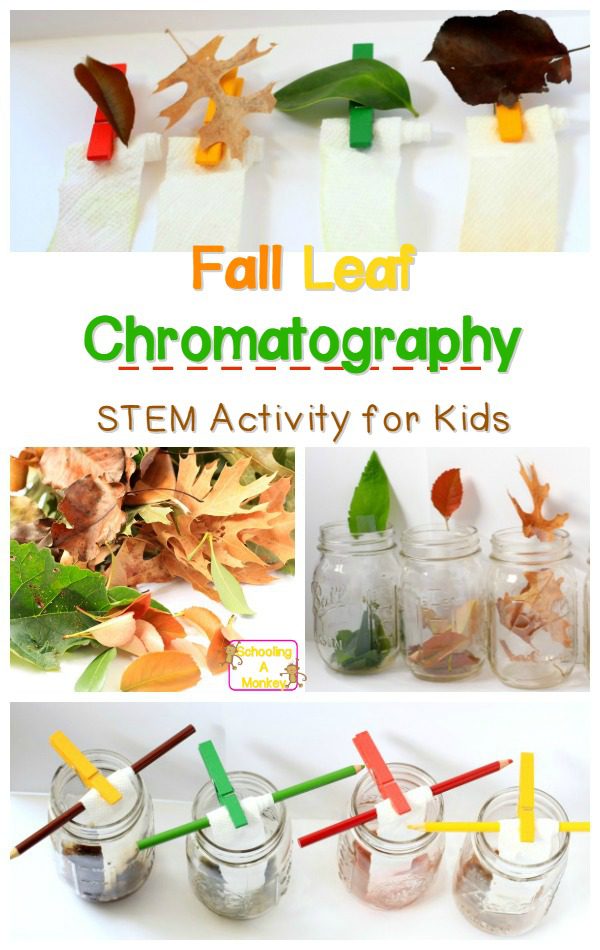 leaf-chromatography-collage.jpg