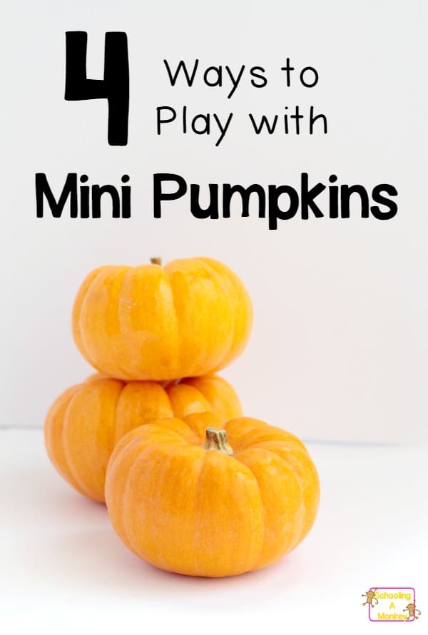 Mini pumpkins are so much more than decorations. These four pumpkin activities for preschoolers will allow preschoolers to safely play with the fall staple.