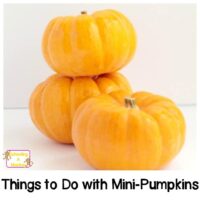 Mini pumpkins are so much more than decorations. These four pumpkin activities for preschoolers will allow preschoolers to safely play with the fall staple.