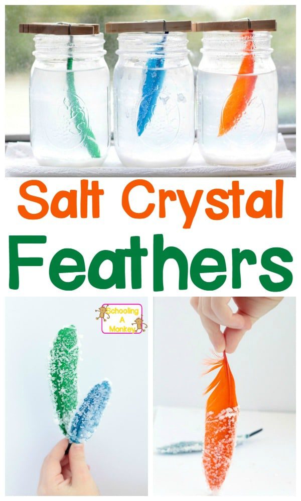If you're looking for simple science projects, the salt crystal feathers are so much fun! These homemade salt crystals are the perfect salt crystal project and you can learn how to make salt crystals fast for any salt crystals science project. #scienceprojects #science #scienceexperiments #stemactivities