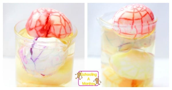 Halloween experiments are the perfect way to introduce science to kids. Make these pickled monster eggs and delight your kids with STEM activities!