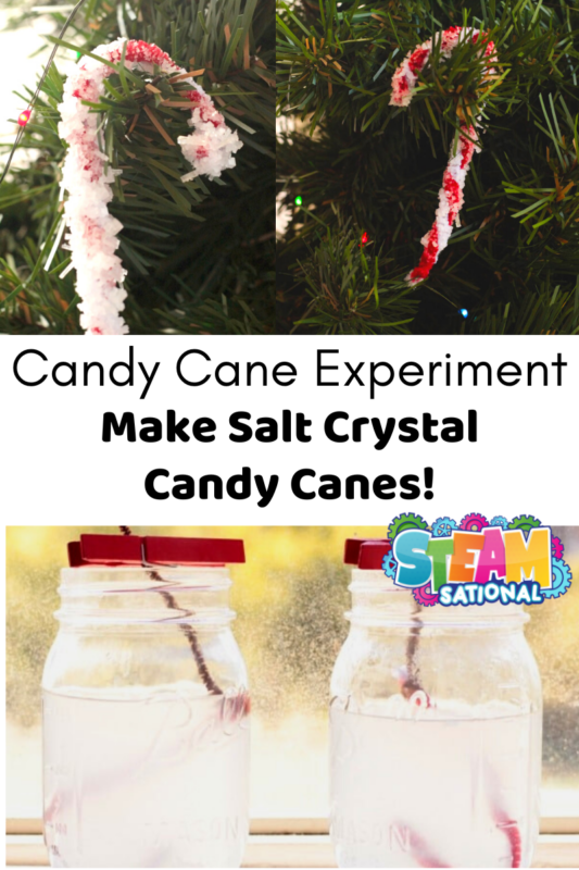 Simple candy cane experiment! In this candy cane science experiment, you will make crystal candy canes in 24 hours. Candy cane science is a lot of fun!