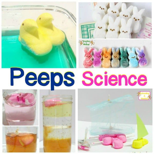 You may not love eating Peeps, but they are soon to become one of your most favorite educational tools! Peeps science activities will delight all kids!
