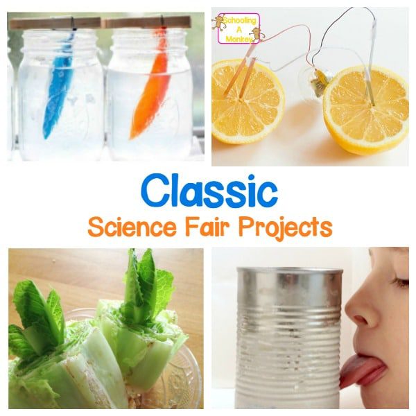 These classic science fair projects are perfect for kids in elementary school! Find everything from moldy bread to a potato battery and more!