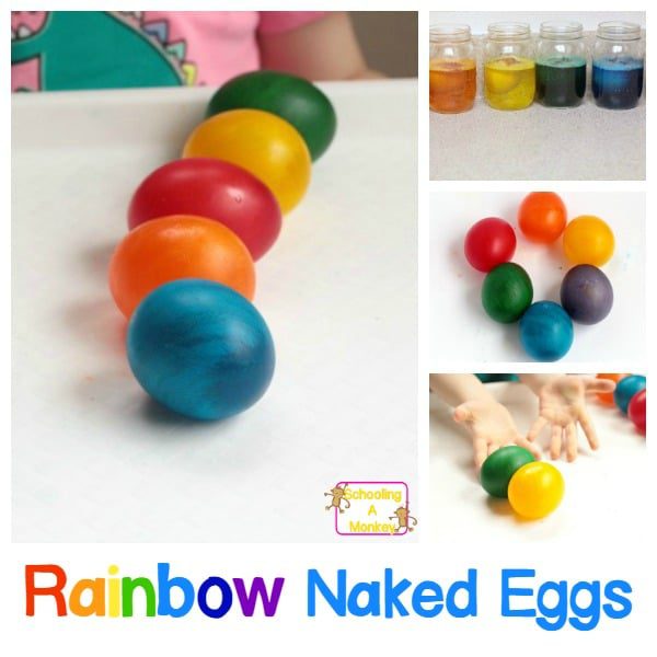 Kids will love this rainbow variation on the classic naked eggs experiment. Don't just make naked rubber eggs, make rainbow rubber eggs!