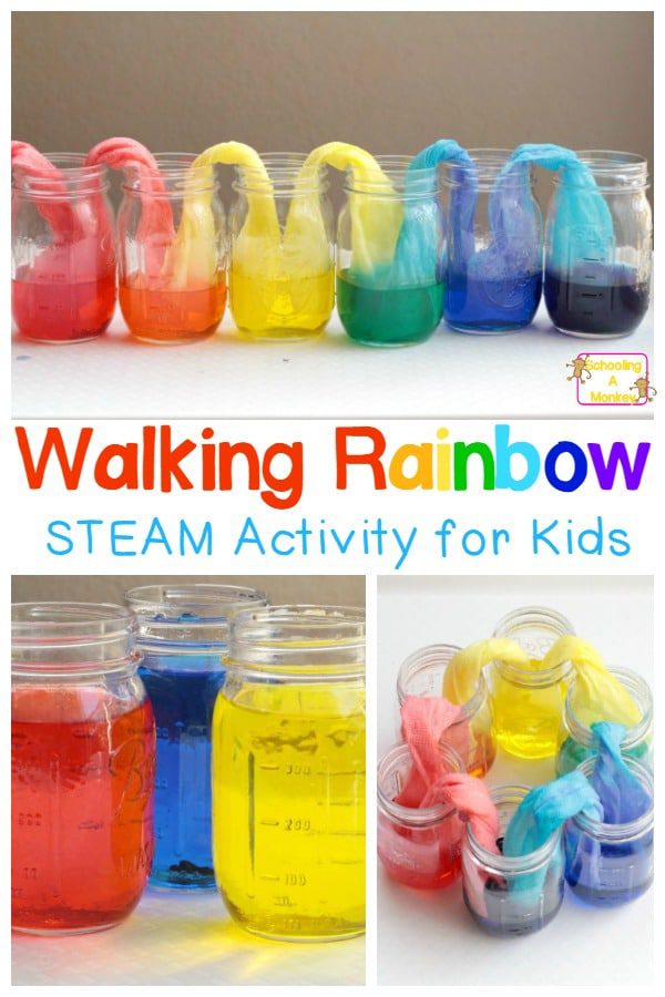 Kids will love making their very own walking rainbow from just three colors. This amazing walking rainbow experiment is the most fun walking water experiment ever! You'll have a blast with the rainbow walking water. #scienceexperiment #science #stemactivities #science