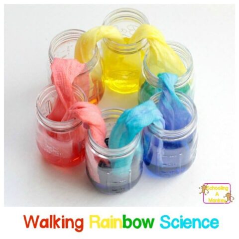 walking rainbow