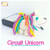 Unicorn Project Ideas