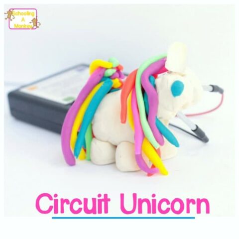 circuit unicorn c