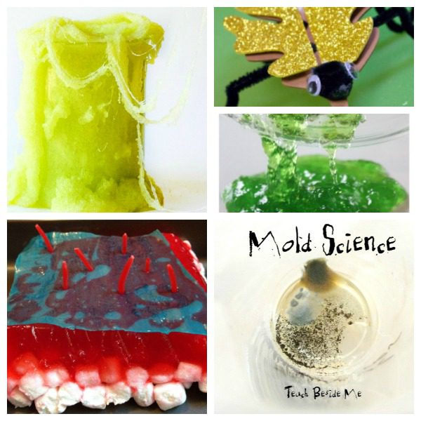 Delight kids with these fun and hands-on gross science experiments and STEM activities. So many gross activities for kids to try!