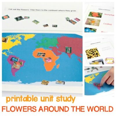 wildflower unit study