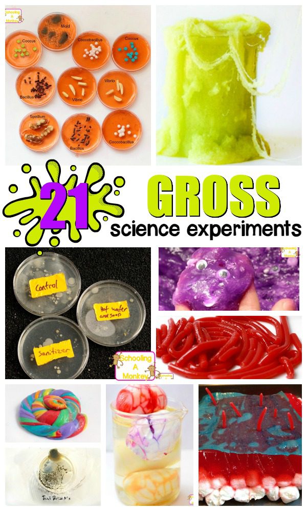 Delight kids with these fun and hands-on gross science experiments and STEM activities. So many gross activities for kids to try!