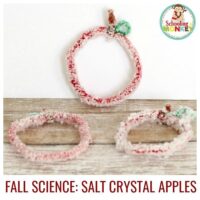 Create your own salt crystals at home! With just 3 ingredients, you can craft apple salt crystals ideal for autumn STEM lessons!