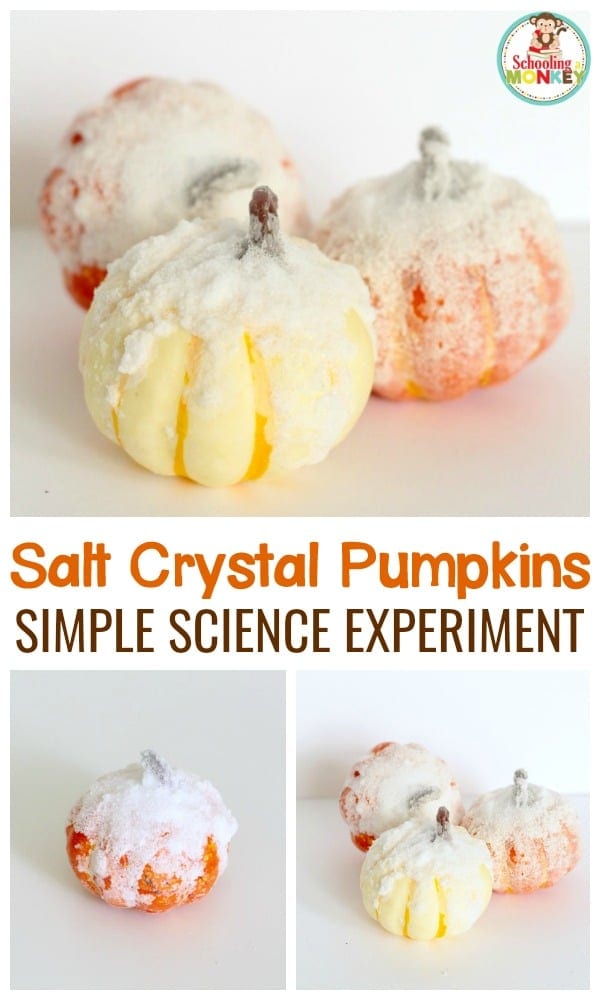 Easy tutorial to make salt crystal pumpkins! Just 2 ingredients and one day and you will have glittery, crystal-covered pumpkins!