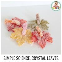 Fall science activities are all about leaves, acorns, and pumpkins. Learn about ionic bonds in this fun salt crystal leaves science experiment.