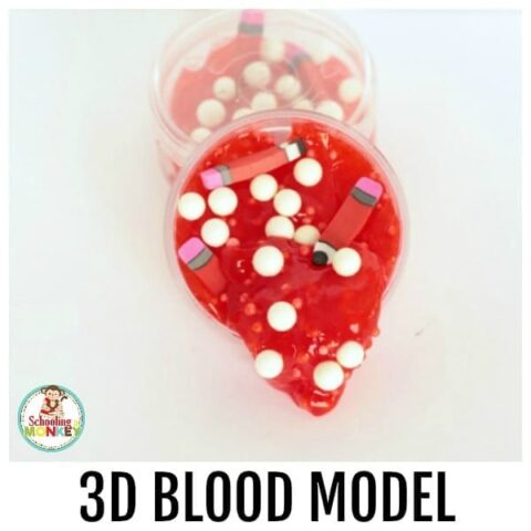 If you love Halloween STEM activities and Halloween science experiments, you'll love this 3D blood model! Kids will love this creepy science activity!